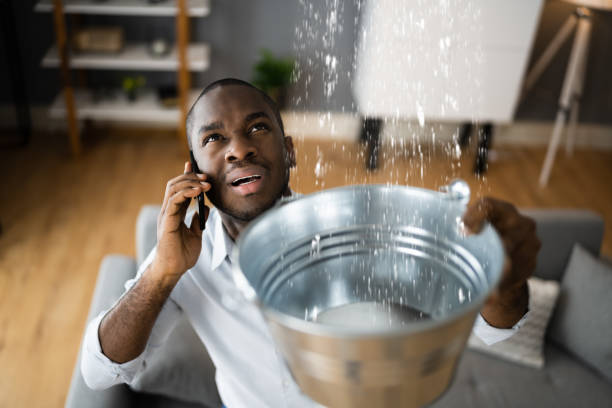 Best 24/7 water damage repair  in Springhill, LA
