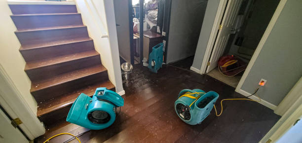 Best Flooded house restoration  in Springhill, LA