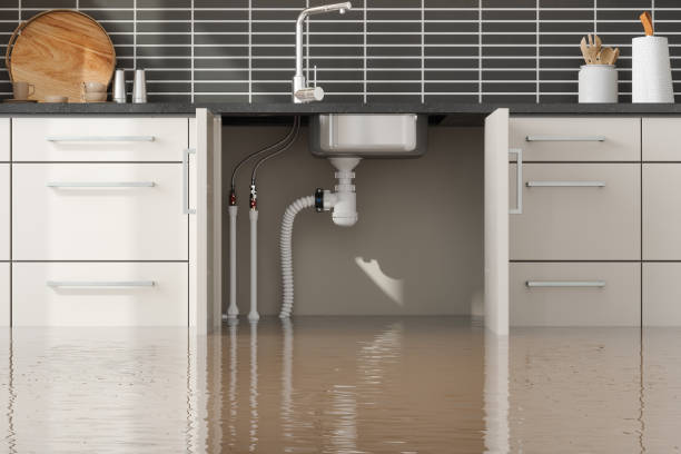 Best Carpet water damage restoration  in Springhill, LA